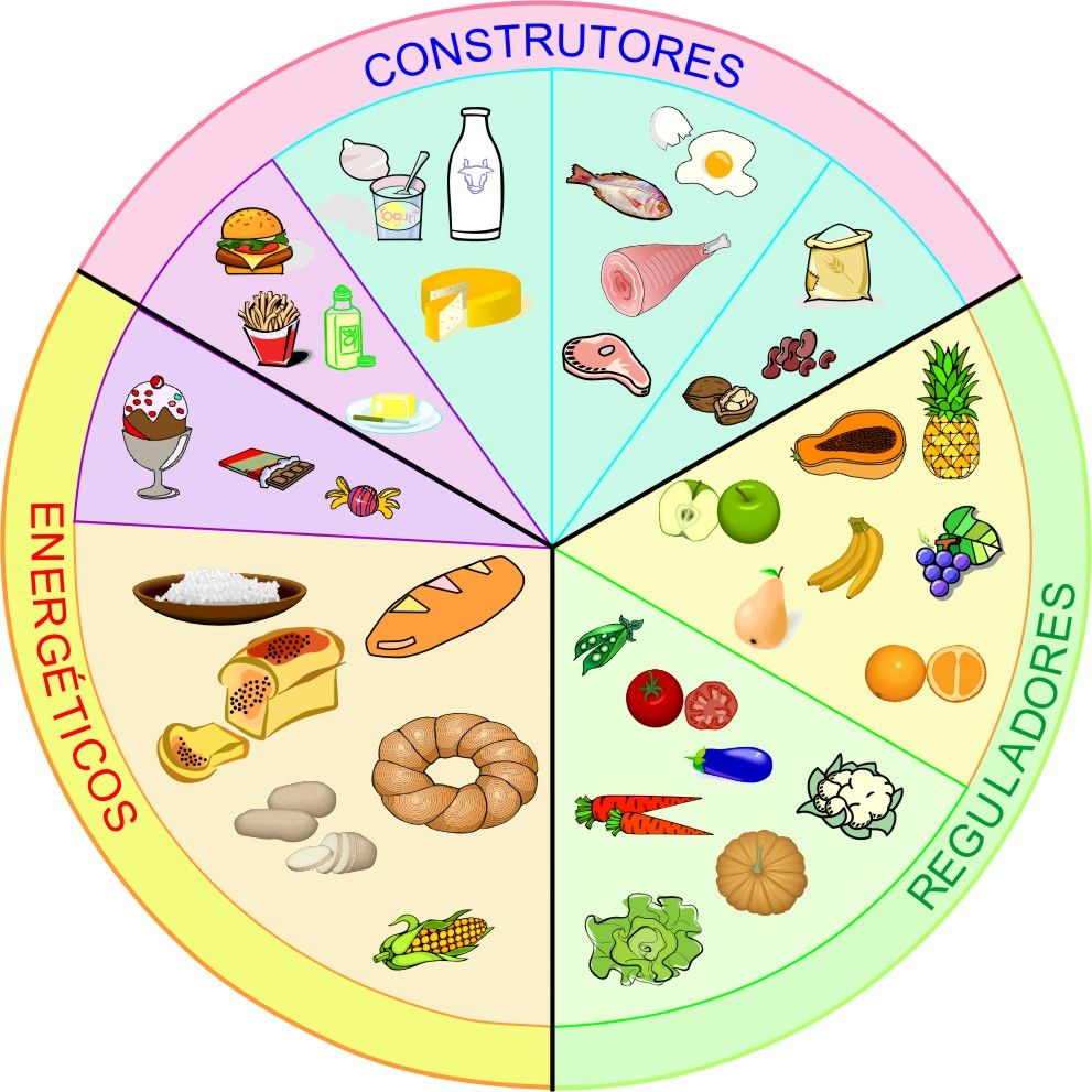 Círculo de los alimentos